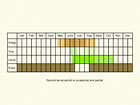  Life stages table Copyright Martin Evans 