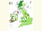  Distribution map Copyright Martin Evans 