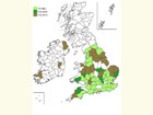  Distribution map Copyright Martin Evans 