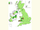  Distribution map Copyright Martin Evans 