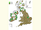  Distribution map Copyright Martin Evans 