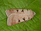  73.365 Autumnal Rustic Copyright Martin Evans 